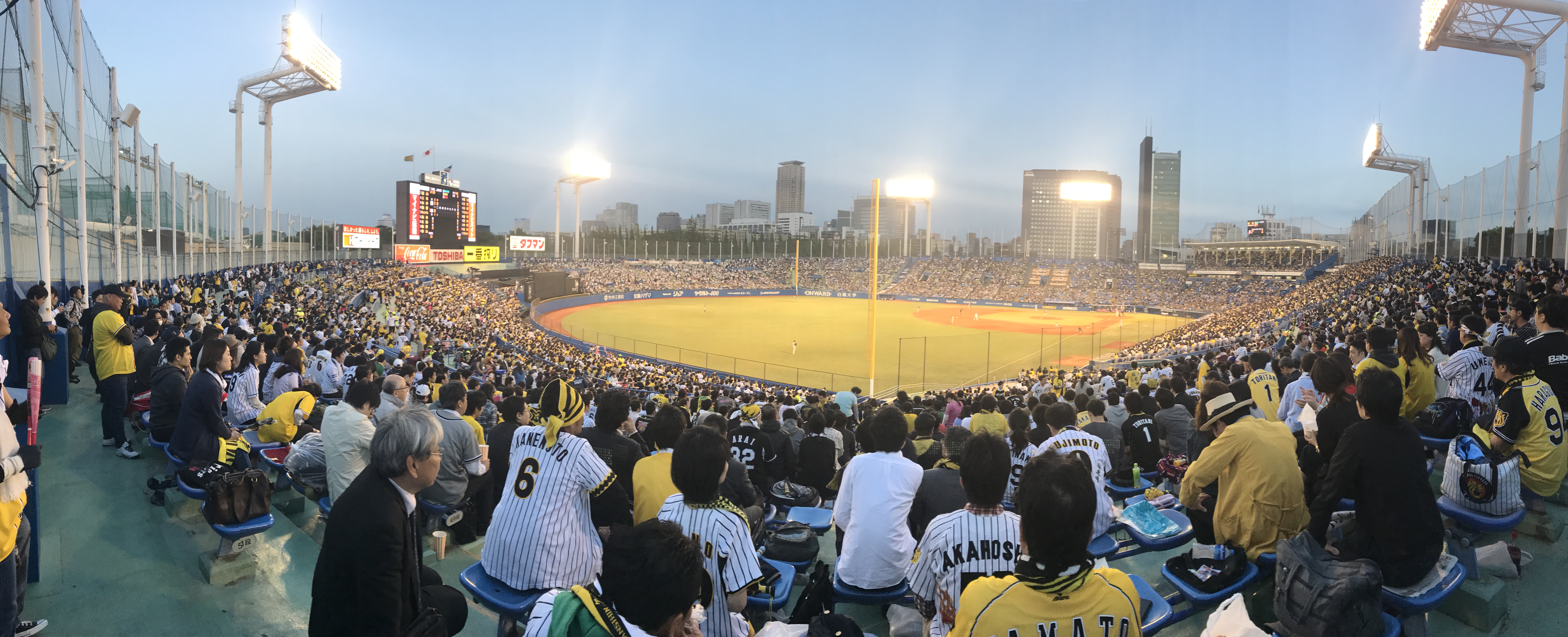 大事に育てることができれば、たくさんの人が自発的に協力してくれます。